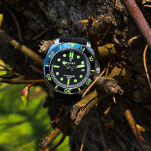 Load image into Gallery viewer, The Turquesa Black