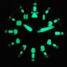 Load image into Gallery viewer, The Pilot